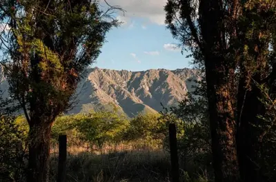 a view of a mountain from between two trees at Las Pircas Apartamentos de Campo in Las Calles