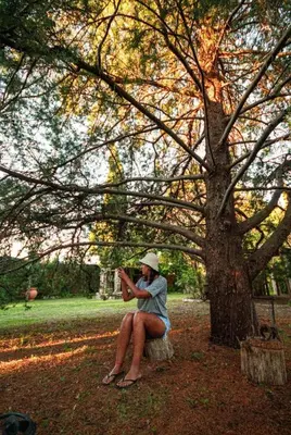 a woman sitting on a stump under a tree at Las Pircas Apartamentos de Campo in Las Calles