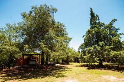 a park with trees and a car parked under a canopy at Las Pircas Apartamentos de Campo in Las Calles