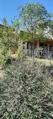 a house with a tree in front of it at Mirador de baco in Santa Rosa de Calamuchita