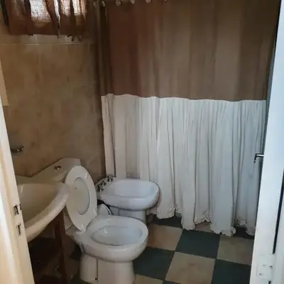 Mirador de baco