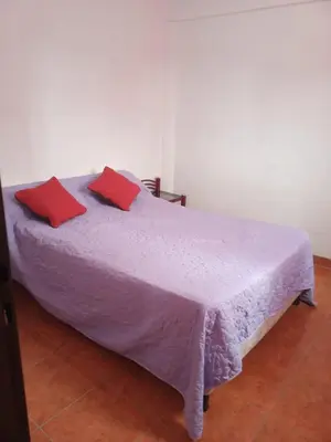 a bed with two red pillows on top of it at Bonita in Villa Cura Brochero