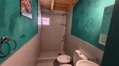 a green bathroom with a toilet and a shower at Espacio Inn zona Kempes in Cordoba