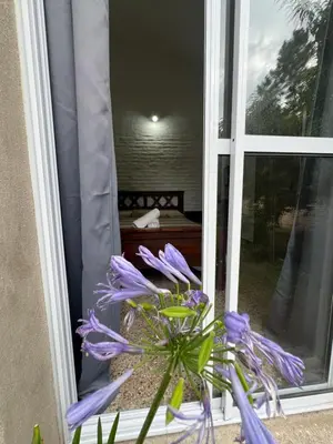 a purple flower in a vase in a window at Depto 168 in Santa Rosa de Calamuchita