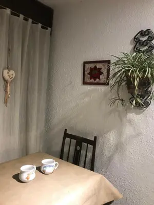 a table with two cups and a plant on it at Alta Casa in Cordoba