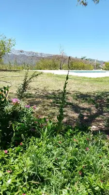 a field with plants and flowers in a field at Posta de Los Geranios in Villa Parque Siquiman