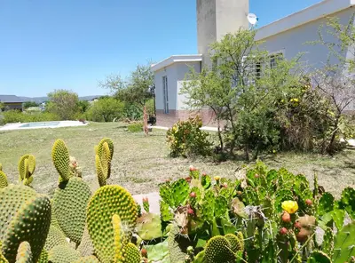 a garden with cacti and plants in front of a house at Posta de Los Geranios in Villa Parque Siquiman
