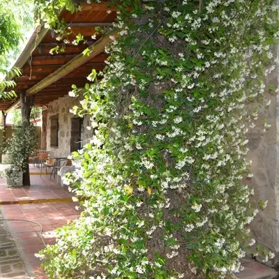Rumi Huasi Cabañas
