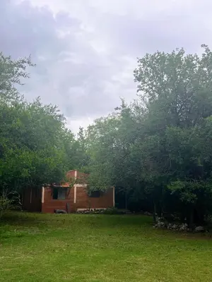 a house in the middle of a yard with trees at Reserva Ichacuna in Los Hornillos