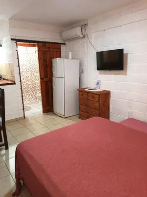 a room with a white refrigerator and a tv at Cabañas El Nogal in Villa Anizacate