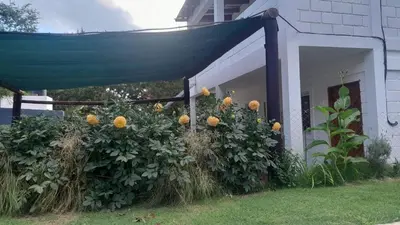 a bunch of flowers in front of a house at Cabañas El Nogal in Villa Anizacate