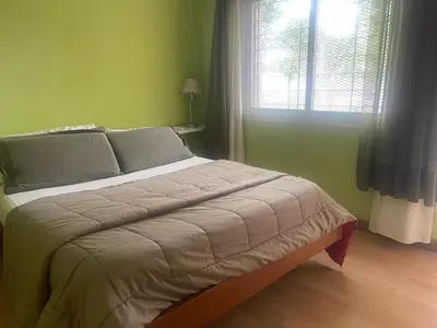 a bed in a green bedroom with a window at Jardín del norte a mts de sanatorio Allende, Hospital Privado cerro,Nascentis y estadio Kempes in Cordoba