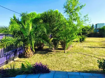 a yard with a palm tree and a fence at Flor silvestre in Carpintería
