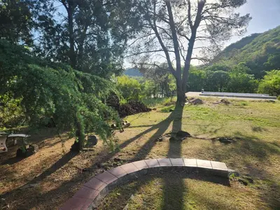 a garden with a tree and a brick path at Rincon de la Selva in La Calera