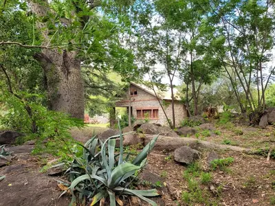 a house in the middle of a forest at Rincon de la Selva in La Calera