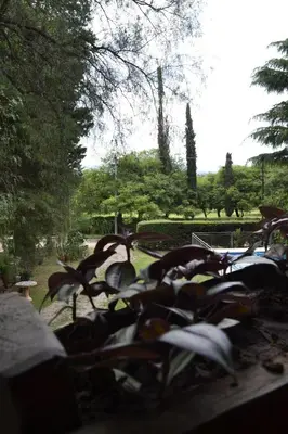 a group of plants sitting in a garden at Posada La Lucía in Villa General Belgrano
