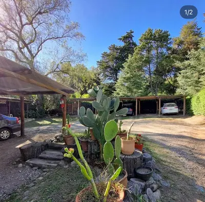 a cactus and other plants in a yard at Posada La Lucía in Villa General Belgrano