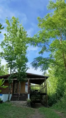 a log cabin with trees in front of it at Cabaña El Bordoneo in Villa Yacanto