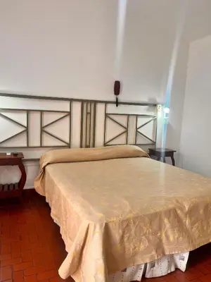 a bedroom with a large bed with a tan bedspread at Hotel Mundial in Merlo