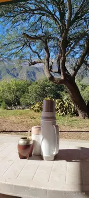 two vases sitting on a table under a tree at DonPedro in Los Hornillos