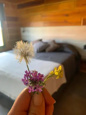 a person holding flowers in front of a bed at San Yucac Relax in Los Reartes