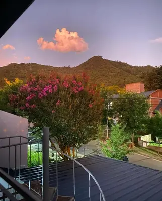 a view of a tree with pink flowers on a roof at Calamuchita Apart Dos Talas in Santa Rosa de Calamuchita
