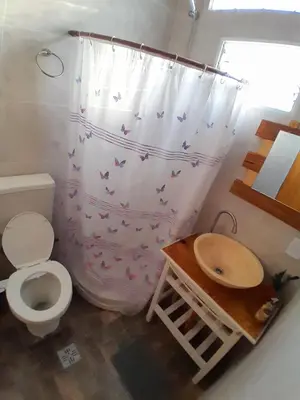 a bathroom with a toilet and a sink and a shower curtain at La Casita de Caeiro in Bialet Massé