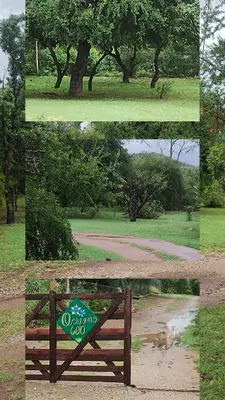 a collage of pictures of a park with a bench at Zelenaiplava dormis in Merlo