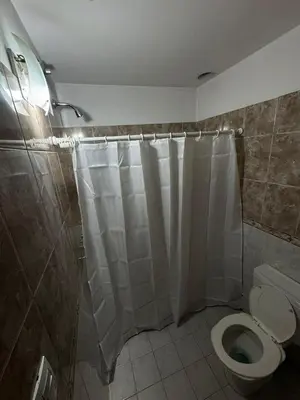 a bathroom with a shower curtain and a toilet at Pepina Mina Clavero in Mina Clavero