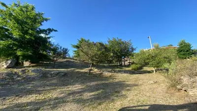 a hill with trees and a house in the background at Flor Serrana in Cavalango