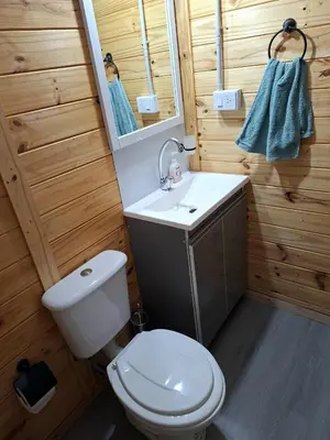 a bathroom with a toilet and a sink and a mirror at Depto Cabañero Lumai in Villa Ciudad Parque