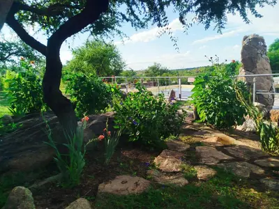 a garden with a tree and some plants at Kuntur Casas de Campo in Mina Clavero