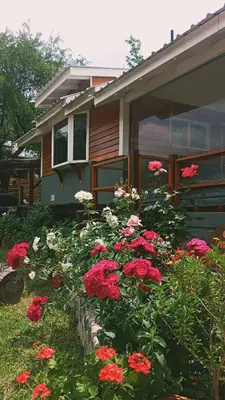 a garden of red and white flowers in front of a house at Cabañas Mari-Tina in Villa Serranita