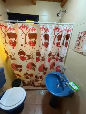 a bathroom with a toilet and a shower curtain at La Morada in Mina Clavero