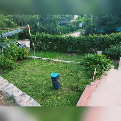 a blue fire hydrant in the grass in a yard at Cabañas Mari-Tina in Villa Serranita