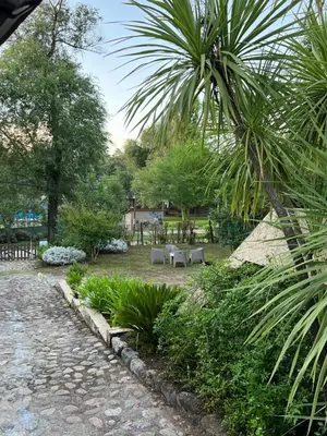 a garden with a table and a palm tree at Chalet con puerta al arroyo in Villa General Belgrano