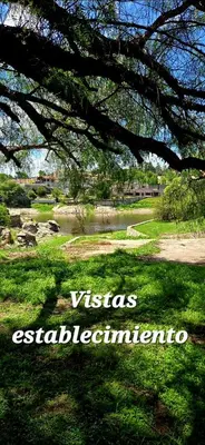 a view of a park with a river and a tree at Apartamento con bajada al lago Aldea del Puente in Villa Carlos Paz