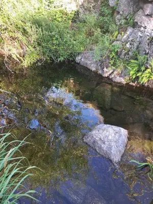 a stream of water with a rock in it at CabañaPaz in Santa Rosa de Calamuchita