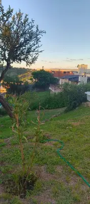 a tree with a green hose on the grass at Hermosa Casa para 6 personas en Parque Siquiiman Cordoba in Villa Parque Siquiman