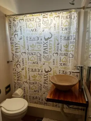 a bathroom with a sink and a toilet and a shower curtain at Departamento Santa rita in Villa Carlos Paz