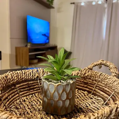 a potted plant sitting on top of a basket at Departamento céntrico con cochera Muy cómodo cerca de todo in Villa Carlos Paz