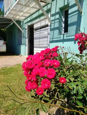 a bunch of pink roses in front of a house at La casa del Algarrobo in San Antonio de Arredondo