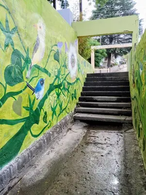 a mural of two birds on a wall with stairs at La casa del Algarrobo in San Antonio de Arredondo