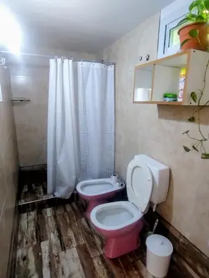 a bathroom with a pink toilet and a sink at La casa del Algarrobo in San Antonio de Arredondo
