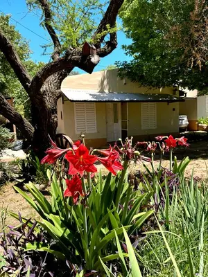 a garden with red flowers in front of a house at La Herradura in Mina Clavero