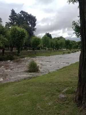 a river in a park next to a tree at Cabañas Sprinter in Trapiche