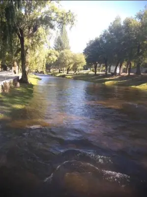 a stream of water with trees on the side of it at Cabañas Sprinter in Trapiche