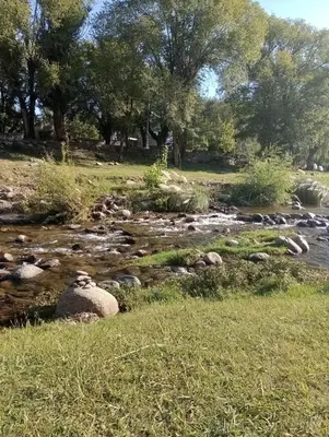 a stream with rocks and trees in a field at Cabañas Sprinter in Trapiche