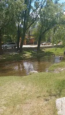 a stream of water in a park with trees at Cabañas Sprinter in Trapiche