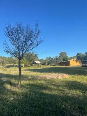 a tree in the middle of a grass field at Camino de Santidad in Piedras Blancas